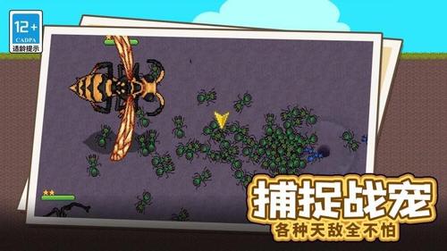 蚂蚁的指挥官(3)