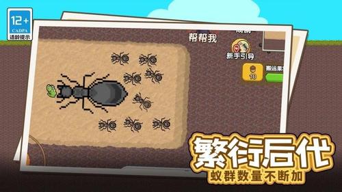 蚂蚁的指挥官(2)