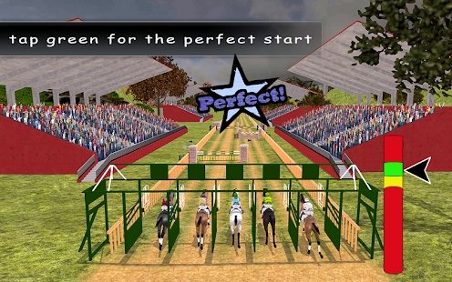 皇家赛马和跳跃模拟器(3)