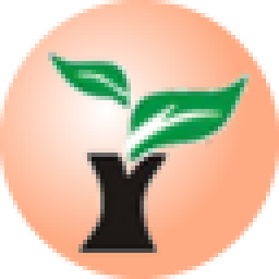 雨林木风U盘PE装系统工具