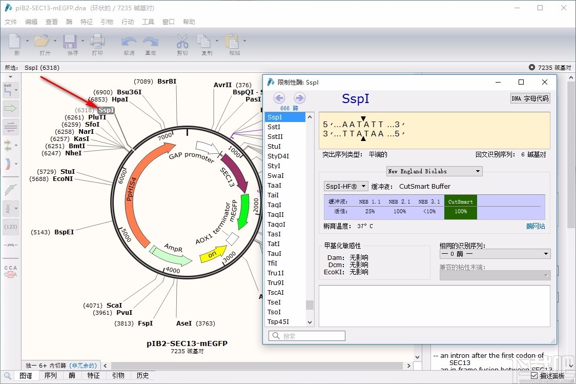 SnapGene(分子生物学软件)