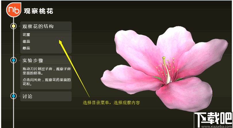 NB生物实验(高中)