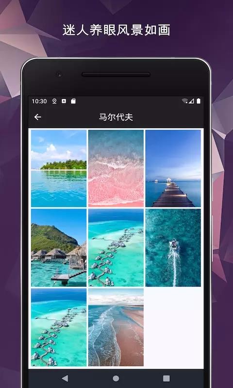 壁纸大全-超高清手机主题动态墙纸(2)