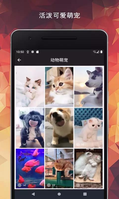 壁纸大全-超高清手机主题动态墙纸(3)