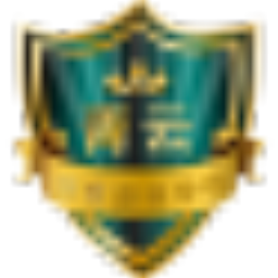 旗云智盾防护专家