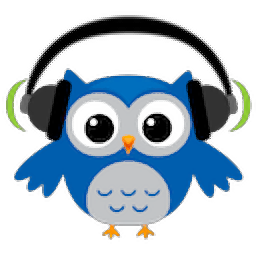 Replay Media Splitter(音视频分割工具)