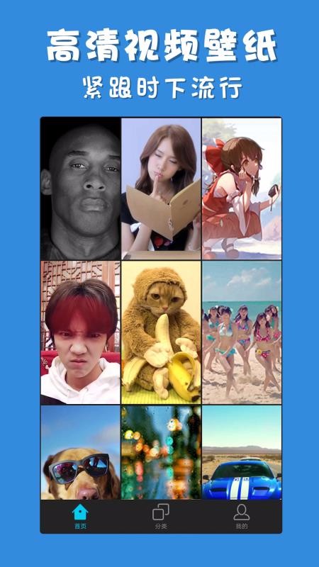 彩蛋视频壁纸(3)