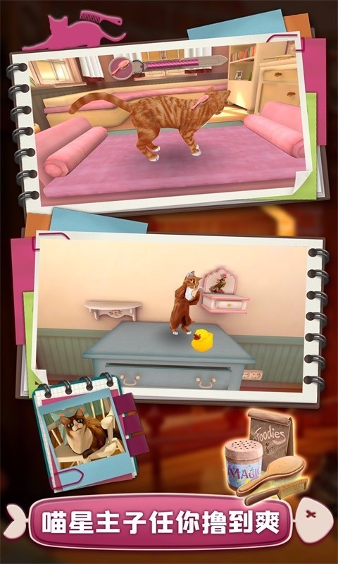 撸猫模拟器(4)