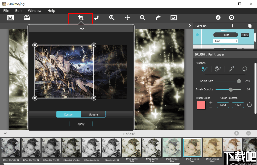 Hand Tint Pro(图像调色工具)