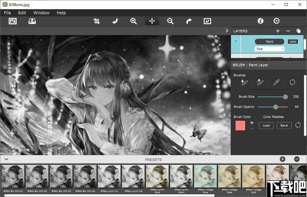 Hand Tint Pro(图像调色工具)