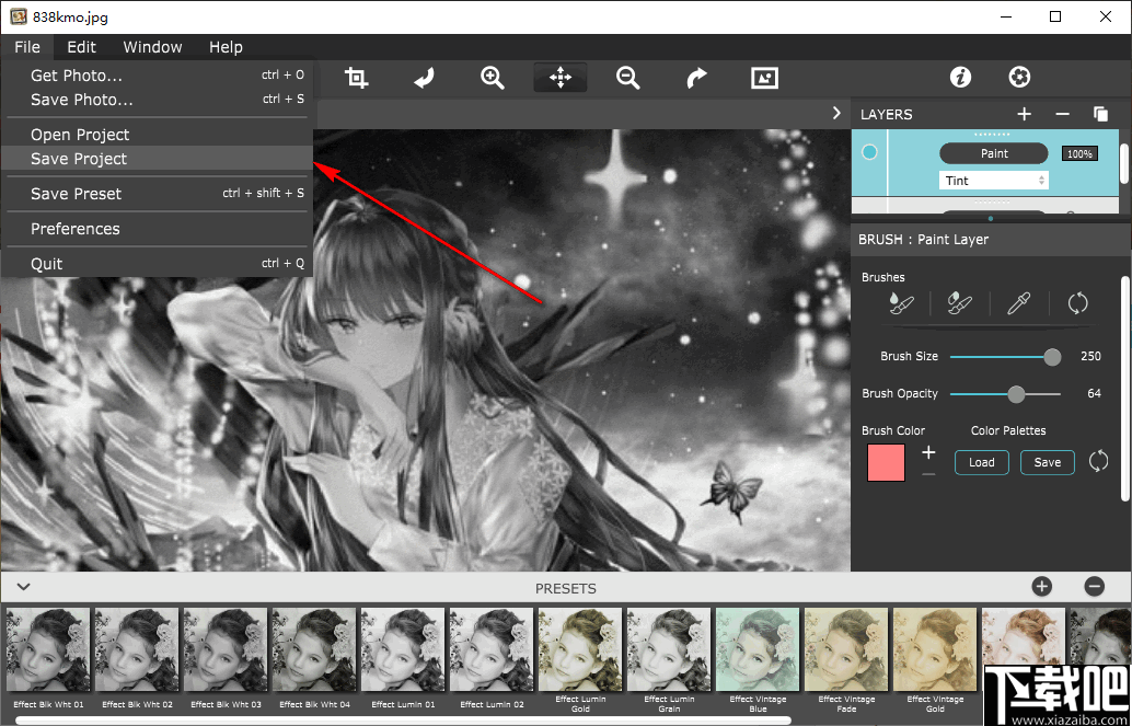 Hand Tint Pro(图像调色工具)