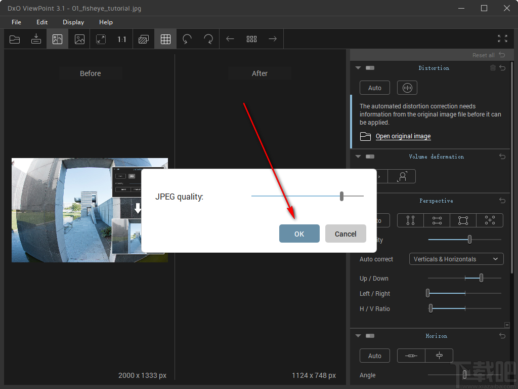 DxO Viewpoint(图像处理软件)