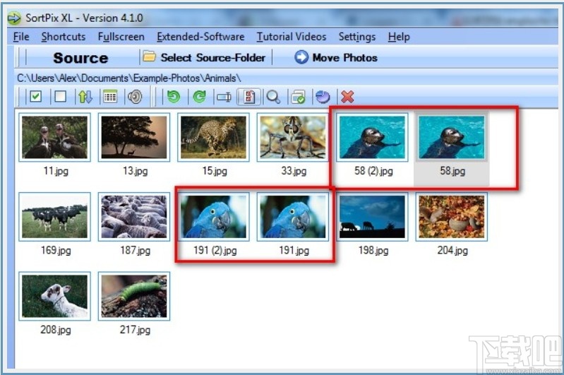 SortPix XL(图像管理软件)
