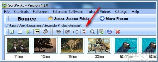 SortPix XL(图像管理软件)
