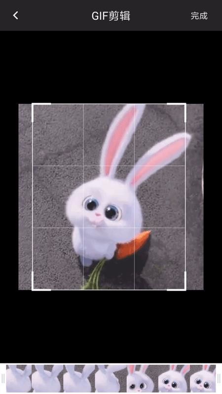 GIF制作器动图(3)