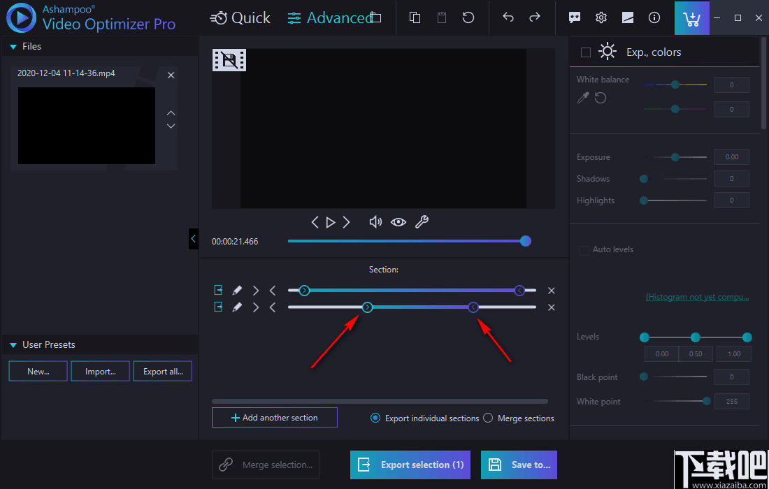 Ashampoo Video Optimizer Pro(视频后期优化软件)