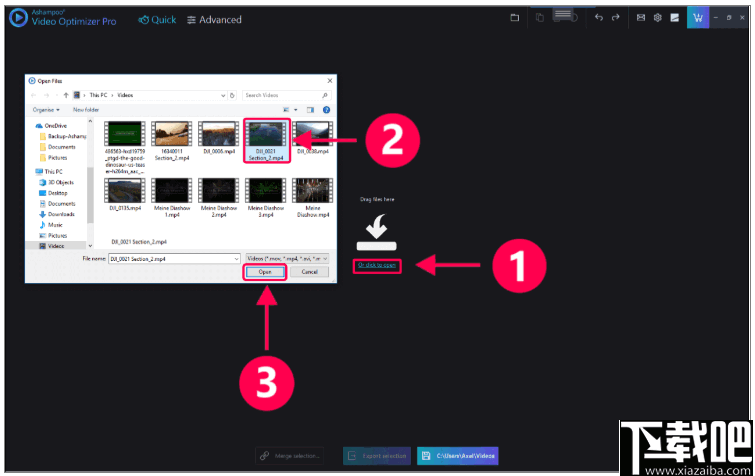 Ashampoo Video Optimizer Pro(视频后期优化软件)