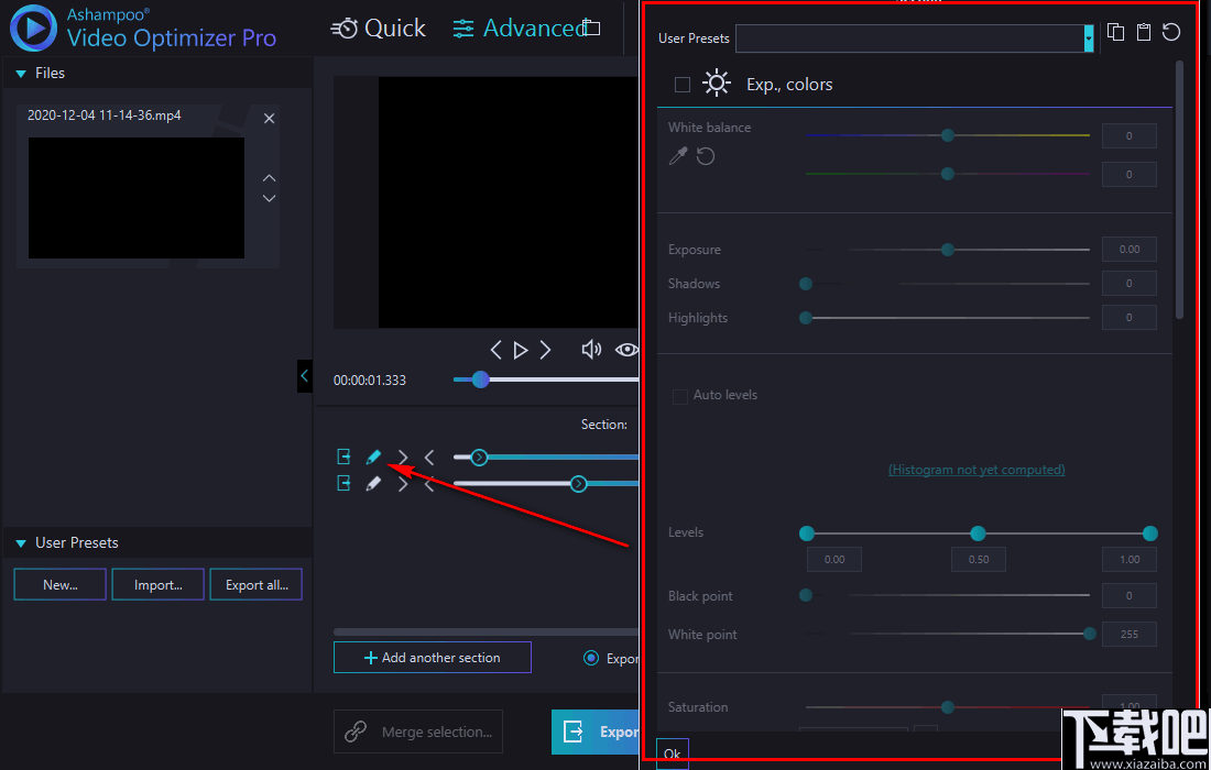 Ashampoo Video Optimizer Pro(视频后期优化软件)
