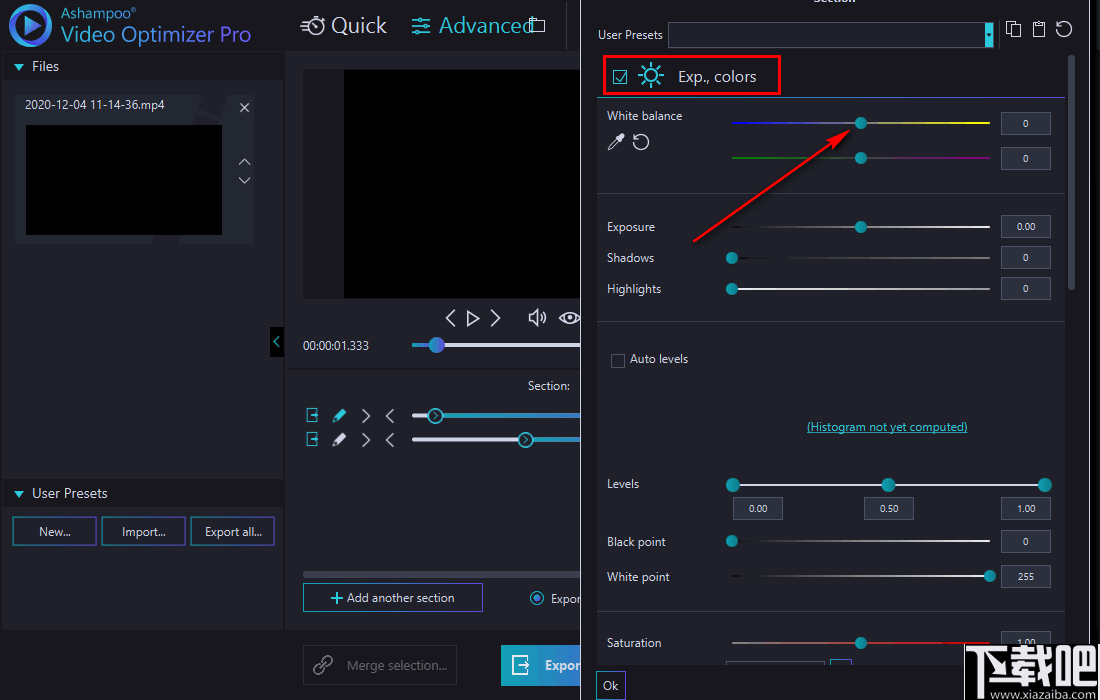 Ashampoo Video Optimizer Pro(视频后期优化软件)