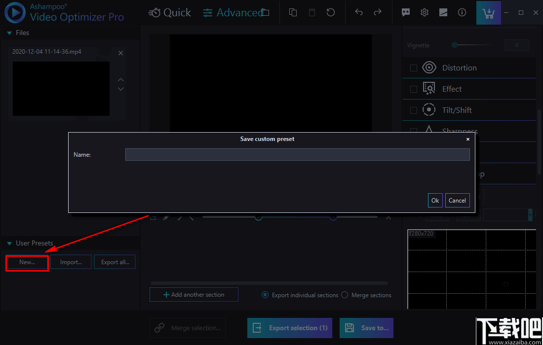 Ashampoo Video Optimizer Pro(视频后期优化软件)