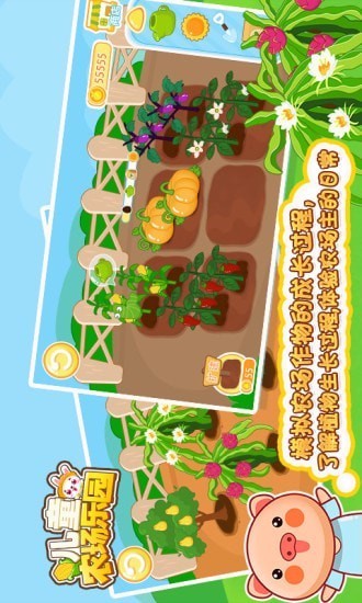 儿童农场乐园(2)