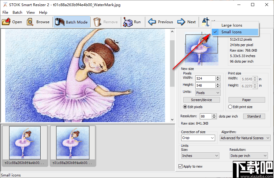 STOIK Smart Resizer(图片无损缩放软件)