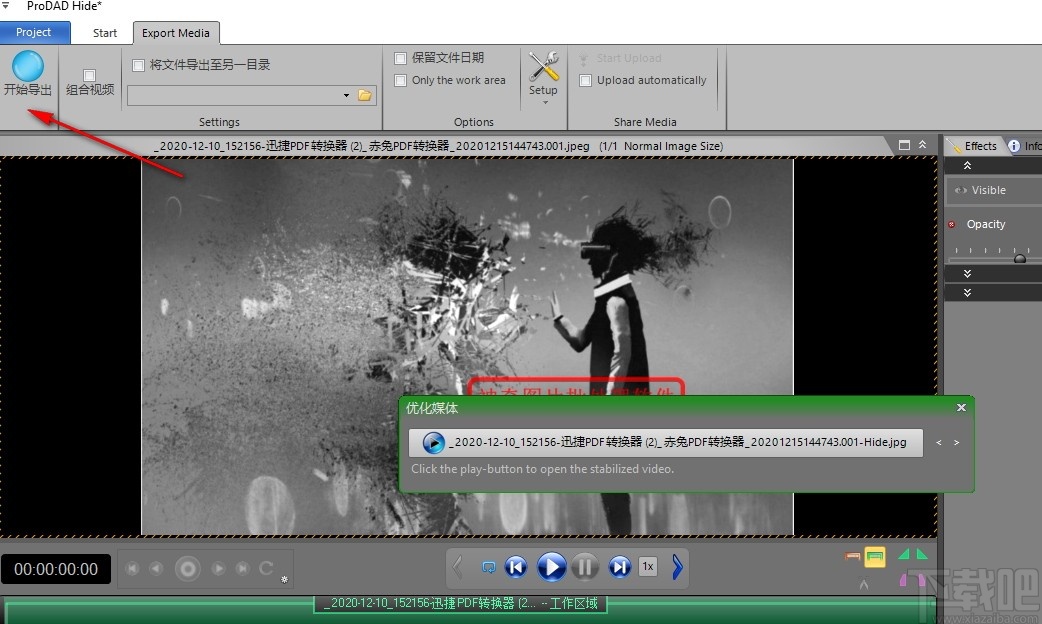 proDAD Hide(视频编辑优化软件)