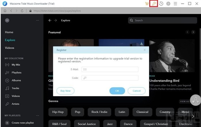 Macsome Spotify Downloader(音乐下载转换工具)