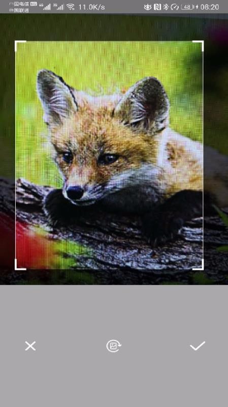 万能拍照识别(2)