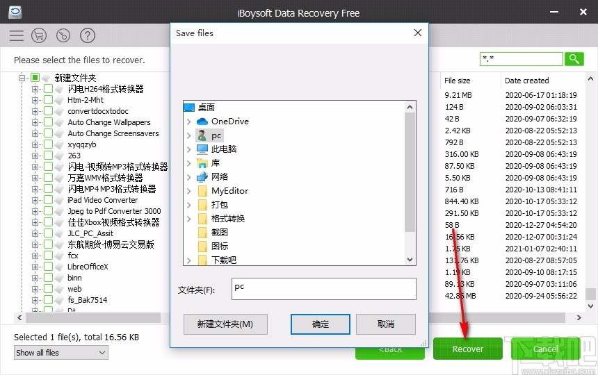 iBoysoft Data Recovery(数据恢复软件)