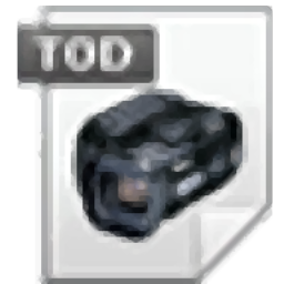 4Easysoft TOD Converter(TOD视频格式转换器)