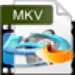 4Easysoft Blu-ray to MKV Ripper(蓝光转MKV转换器)