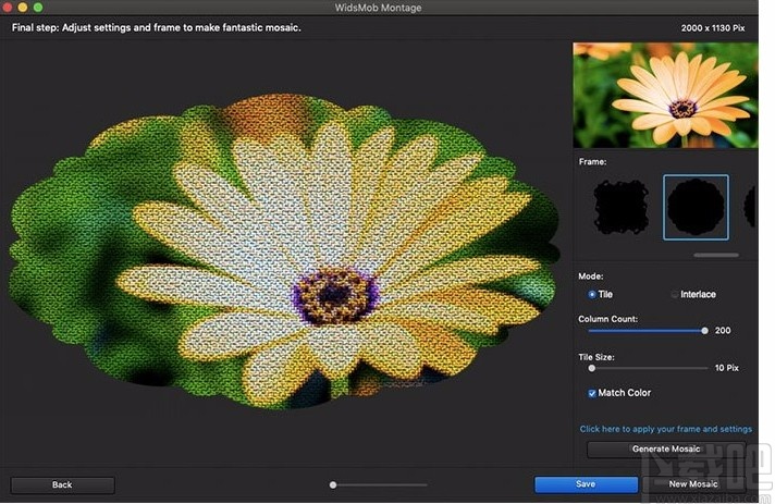 WidsMob Montage(蒙太奇马赛克制作软件)