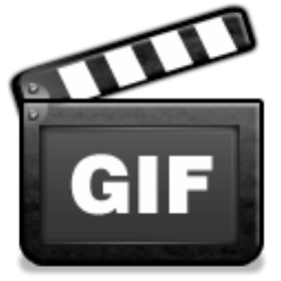 ThunderSoft Video to GIF Converter(GIF动图转换)