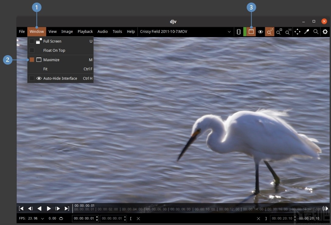 DJV view(DJV成像软件)