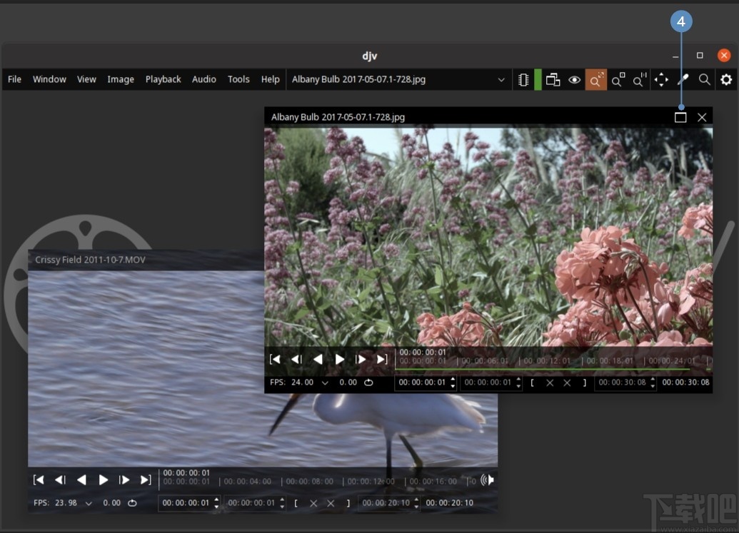 DJV view(DJV成像软件)