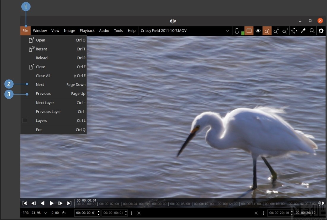 DJV view(DJV成像软件)