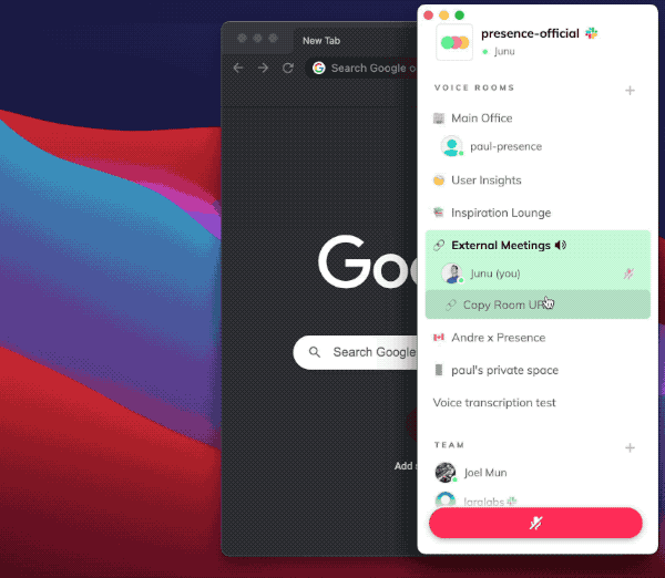 Presence(远程语音聊天软件)