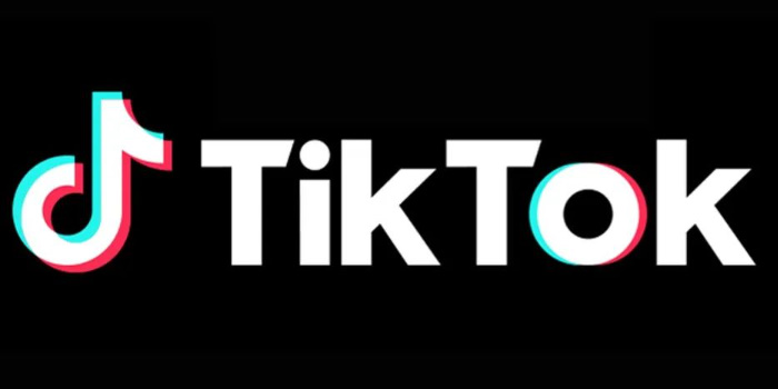 tiktok版本大全