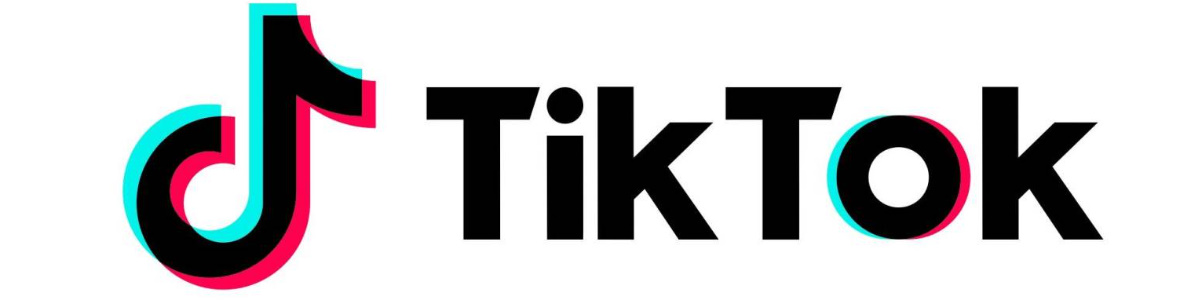 tiktok版本大全