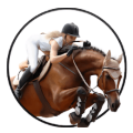 皇家赛马和跳跃模拟器
