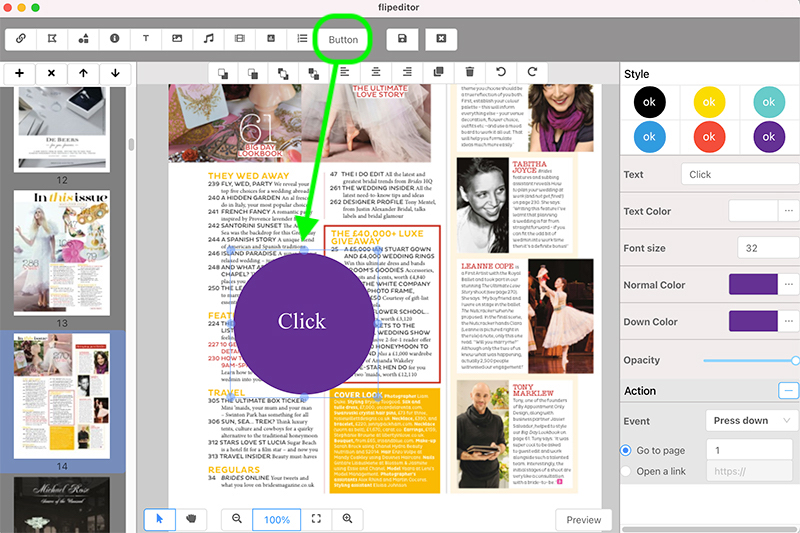 1stFlip FlipBook Creator(电子书制作工具)
