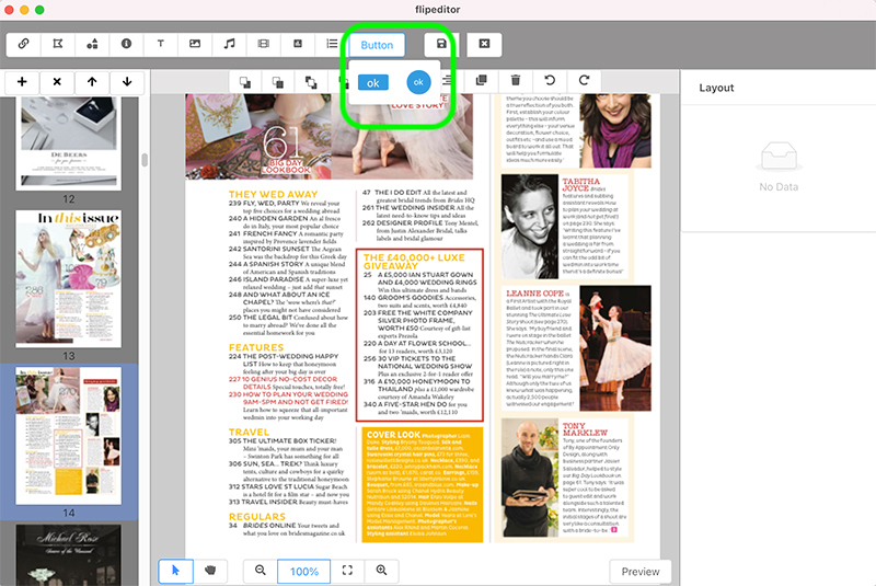 1stFlip FlipBook Creator(电子书制作工具)