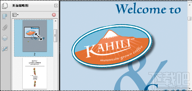 Adobe Acrobat之调整PDF视图