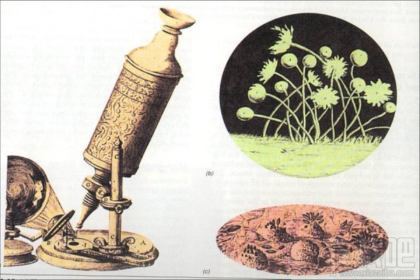 牛顿的另一面:卑鄙的天才 无德的科学家