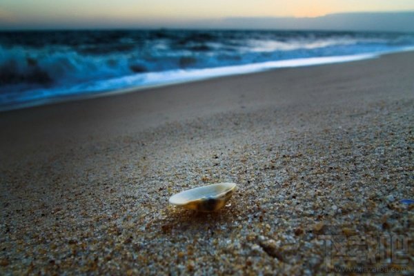 牛顿的另一面:卑鄙的天才 无德的科学家