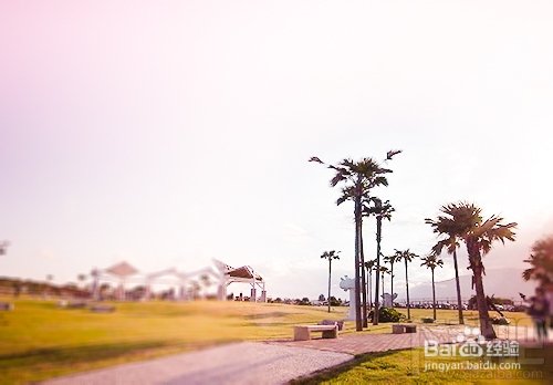 Photoshop CC新功能PS Camera Raw调色滤镜怎么用