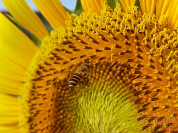 魅族MX4真机首测大曝光