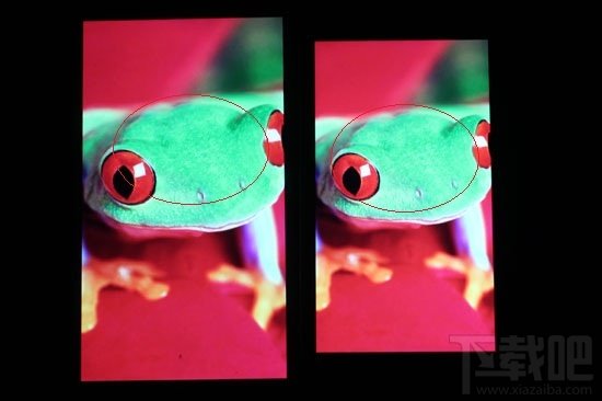 苹果iPhone6评测:屏幕终于变大了