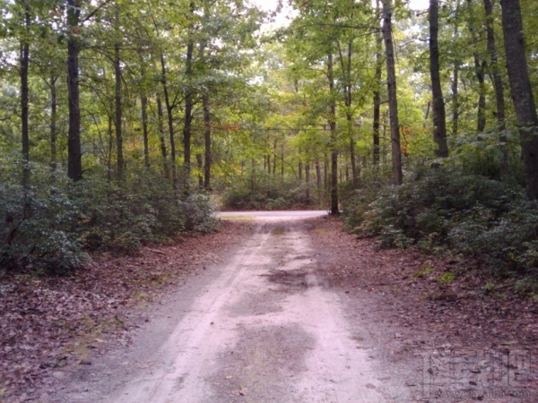 35美元的Firefox OS手机:还有更糟糕的手机吗?